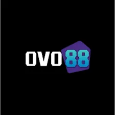 OVO88 - Aplikasi Pemutar MP3 Terbaik untuk Musik & Video